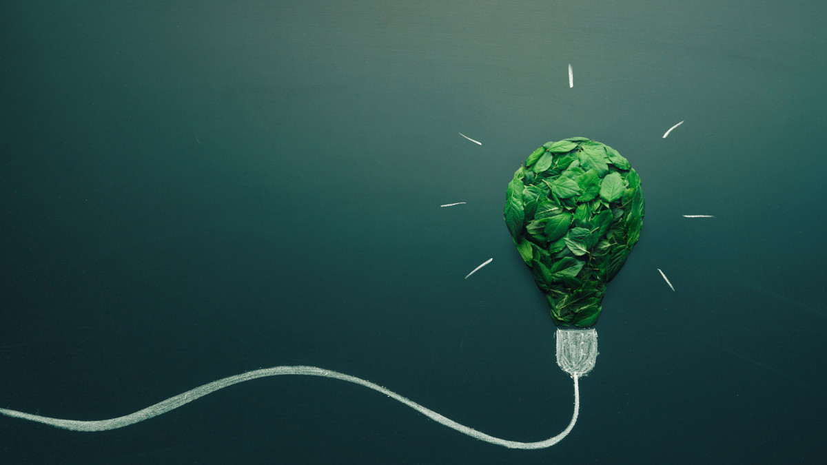 Aus Blättern bestehende Glühbirne