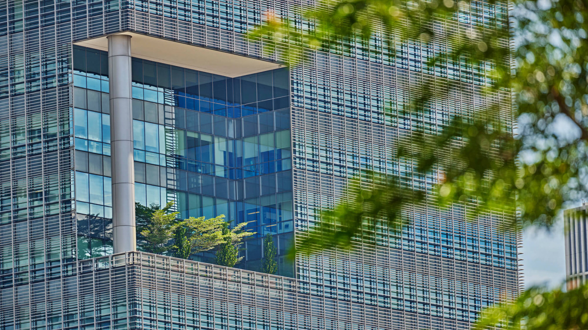 Schluss mit Greenwashing: EU-Parlament stimmt für Green Claims Directive