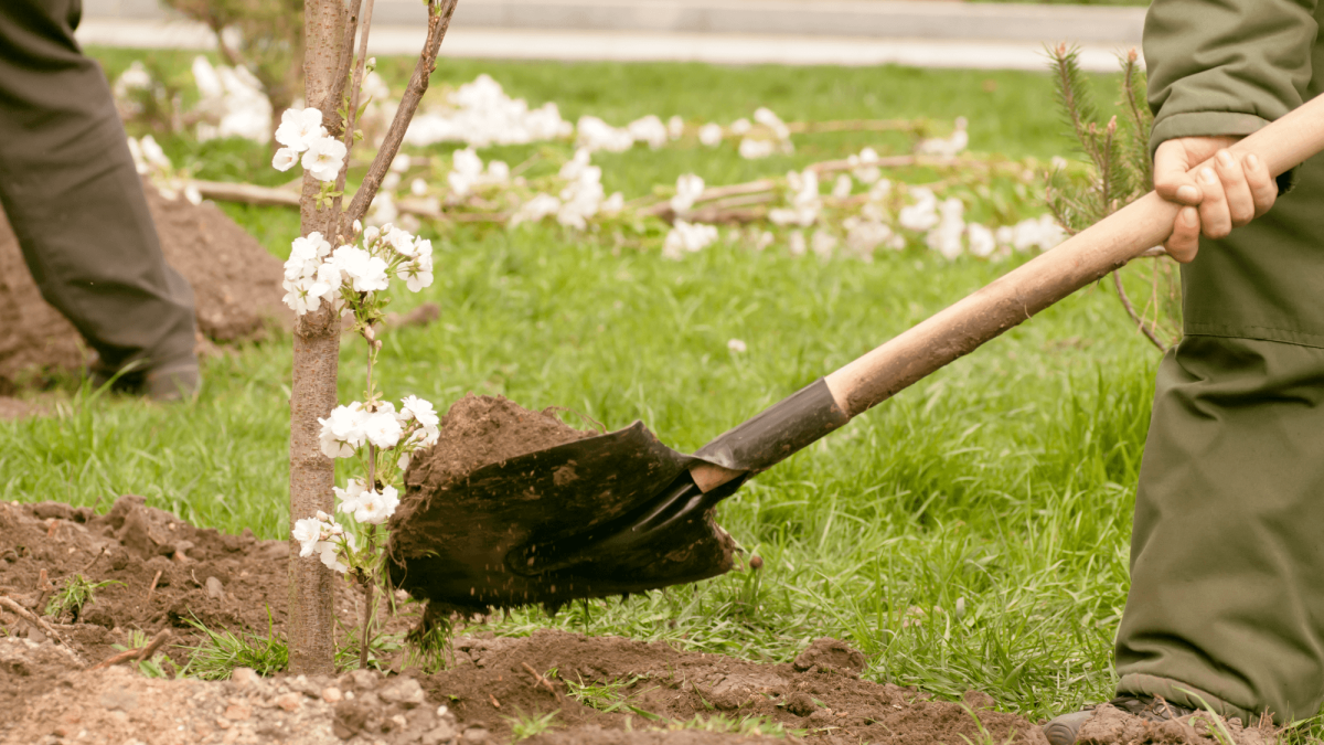 Nachhaltigkeit & Versicherungen: bessergrün zeigt was möglich ist