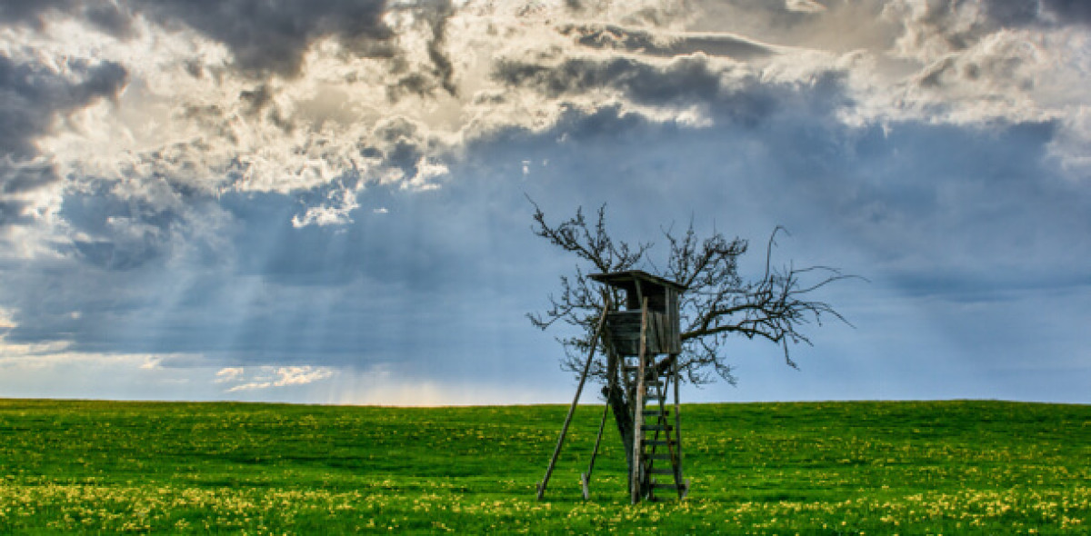 Ratings versprechen Orientierung in puncto Nachhaltigkeit. Dabei bleibt die Aussagekraft jedoch begrenzt. 