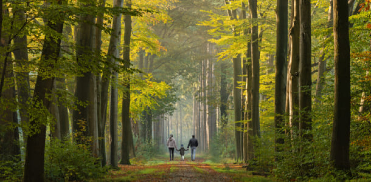 Nachhaltige Fondspolice? Bild: RelaxFoto.de