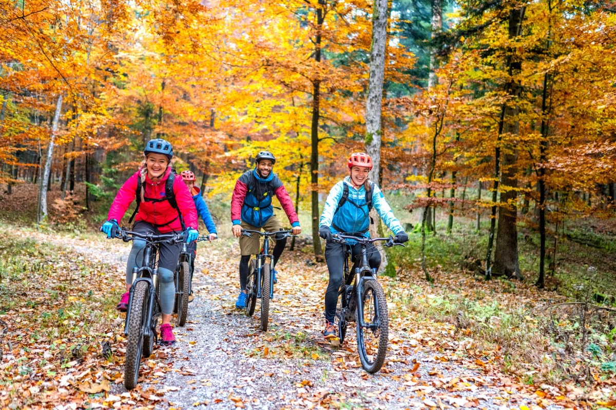 Gruppe von Fahrradfahrern in einem herbstlichen Wald