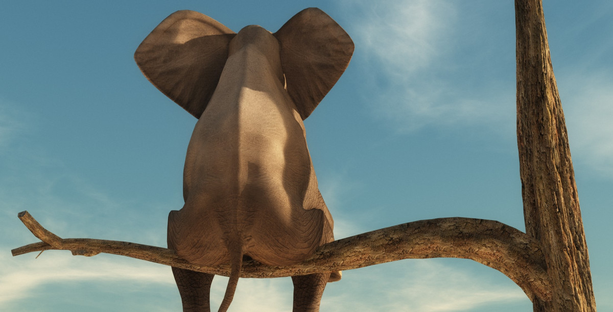 Stabile Solvenzquoten