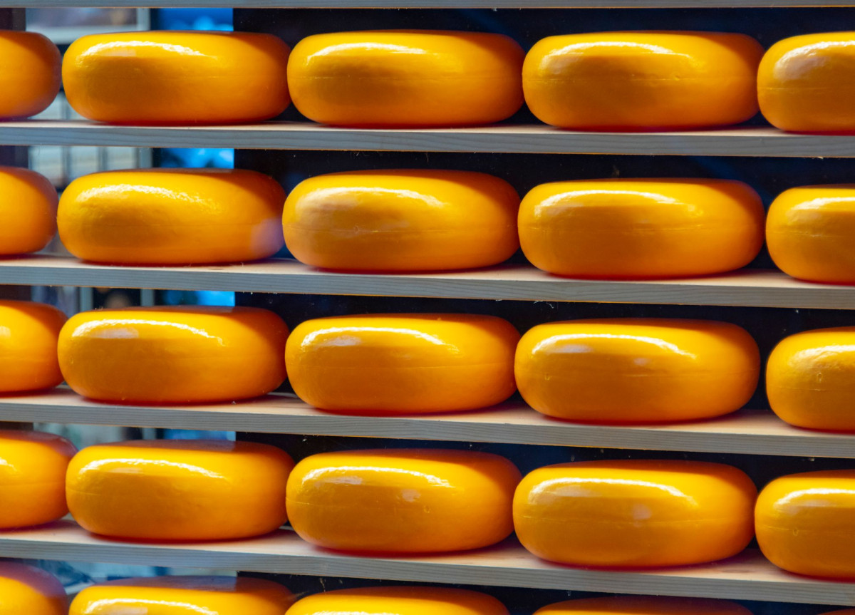 Ein Regal mit vielen Käselaiben