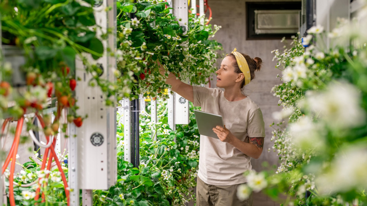Vertical Farming